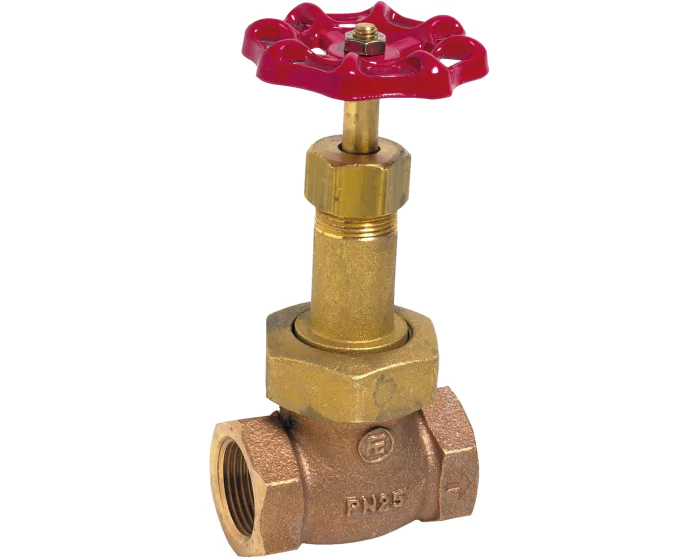 Robinet à soupape Bronze chapeau union PN25