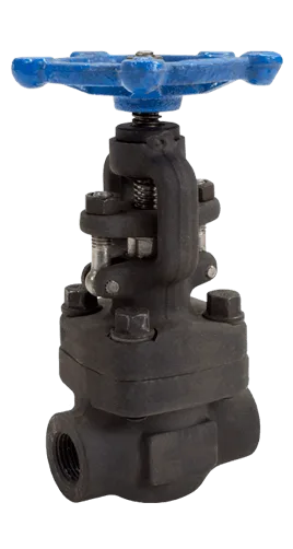 Robinet à soupape Acier Globe valve #800