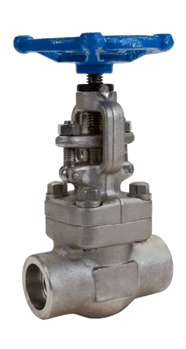 Robinet à soupape Inox Globe valve #800
