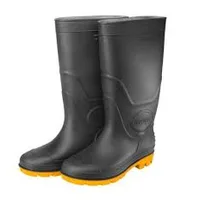 Bottes